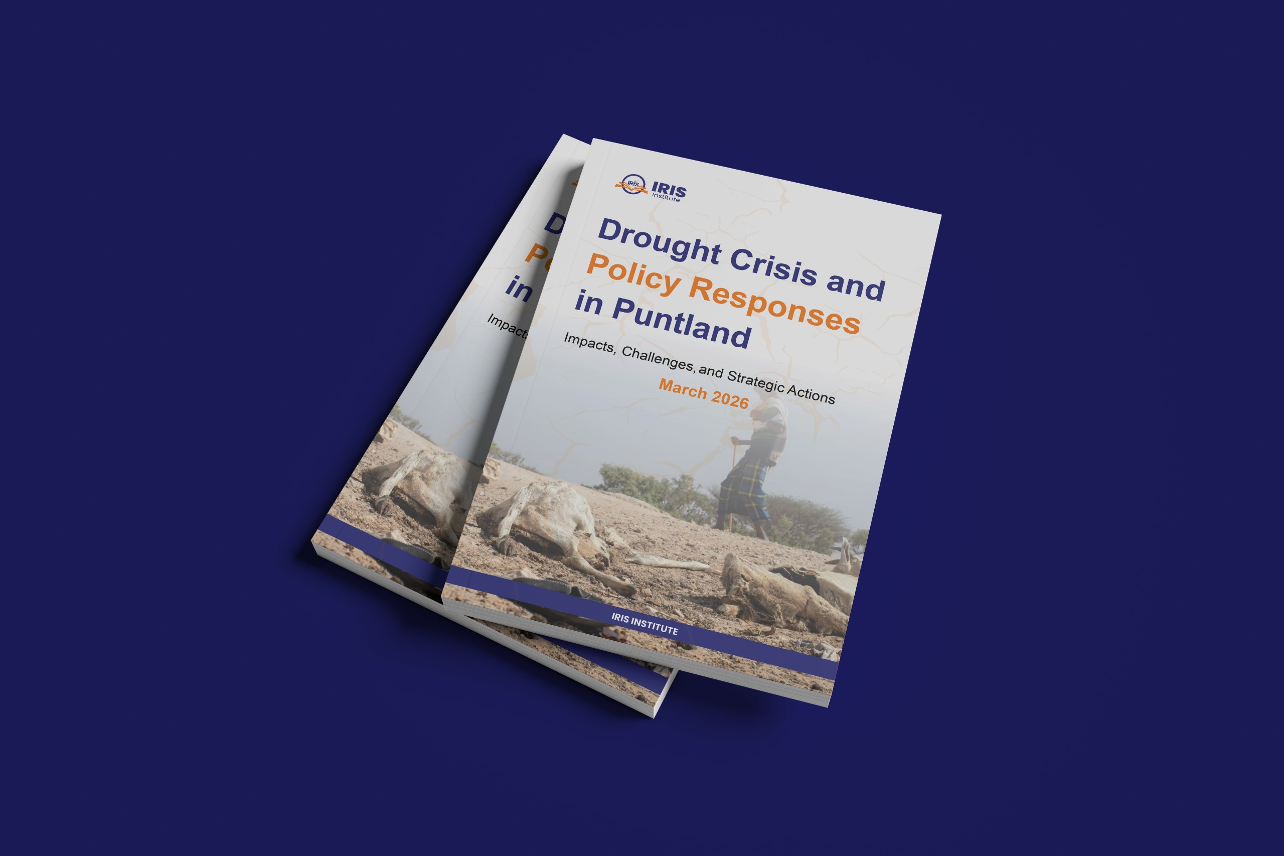Drought Crisis and Policy Responses in Puntland; Impacts, Challenges,and Strategic Actions