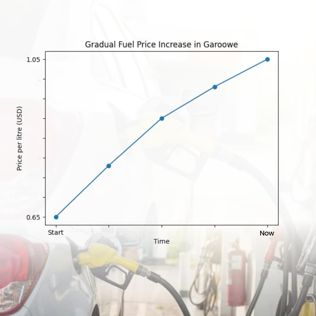 Puntland’s Rising Prices: Impact of the Middle East War and Global Disruptions